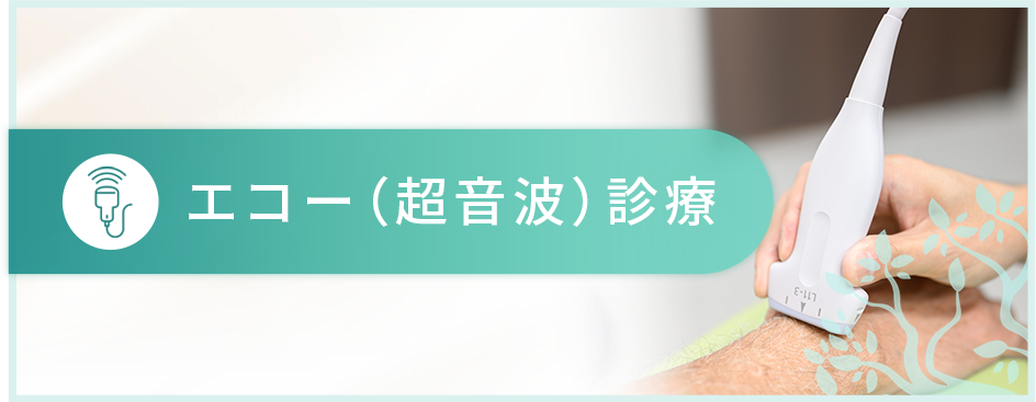 エコー(超音波)診療